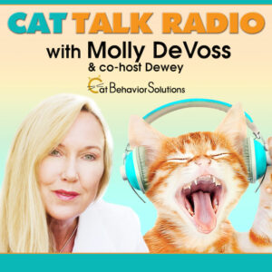 cattalkradiopodcast
